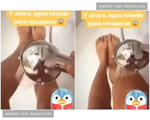 开云体育球迷评分：揭秘体育迷的最爱平台